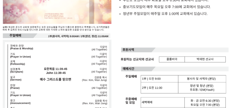 2025년 2월 9일 주보