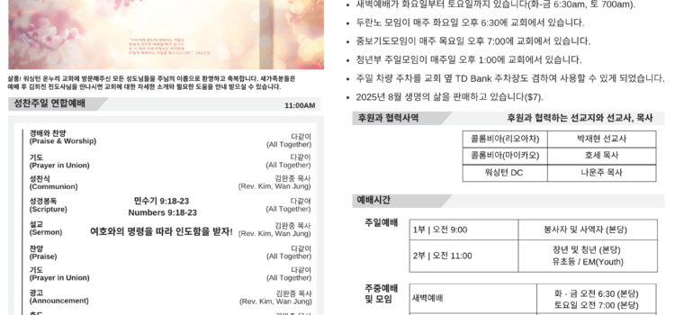 2025년 8월 3일 주보