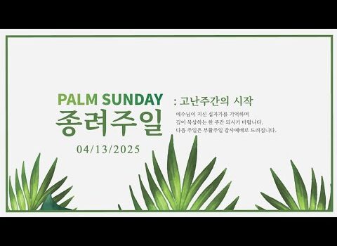 [워싱턴온누리교회] 2025년 4월 13일 주일예배 | 예수님을 맞이하는 우리들의 태도 (요한복음 12:12-19) 김완중 목사